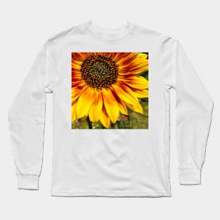 Sunflower Beauty by Debra Martz Long Sleeve T-Shirt